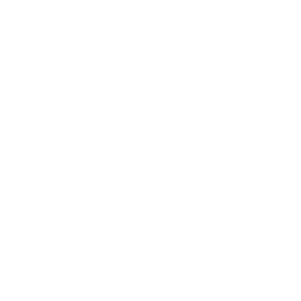 logo-segma-white